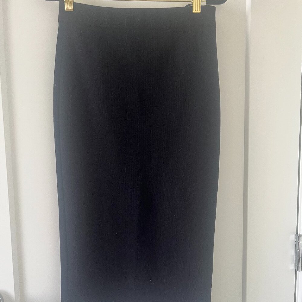 Aritzia Babaton Skirt